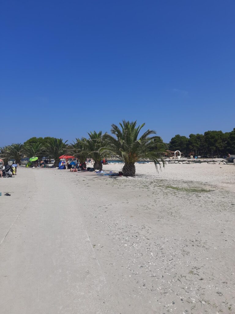 palmy na Umag Sandy beach